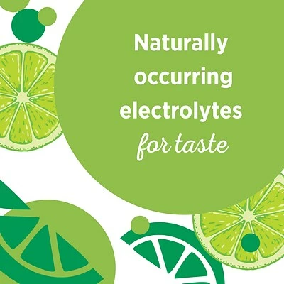 Wholesale π€© Water & Beverages Poland Spring Sparkling Water, Zesty Lime, 16.9 Oz. Bottles, 24/Carton (12349570/122058) β¨ - Image 3